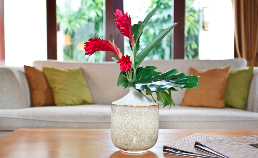 Miskawaan Villa Gardenia