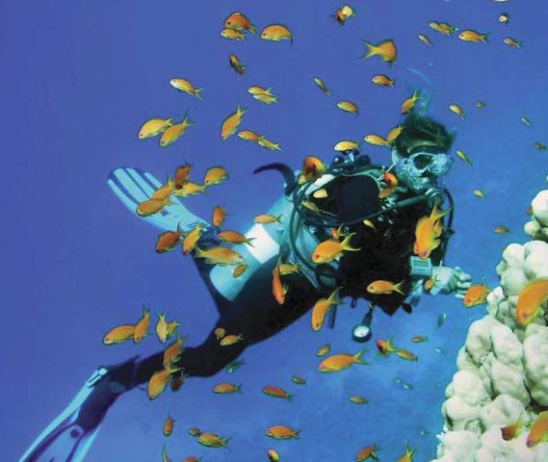 Kuramathi Beach Villa with Jacuzzi