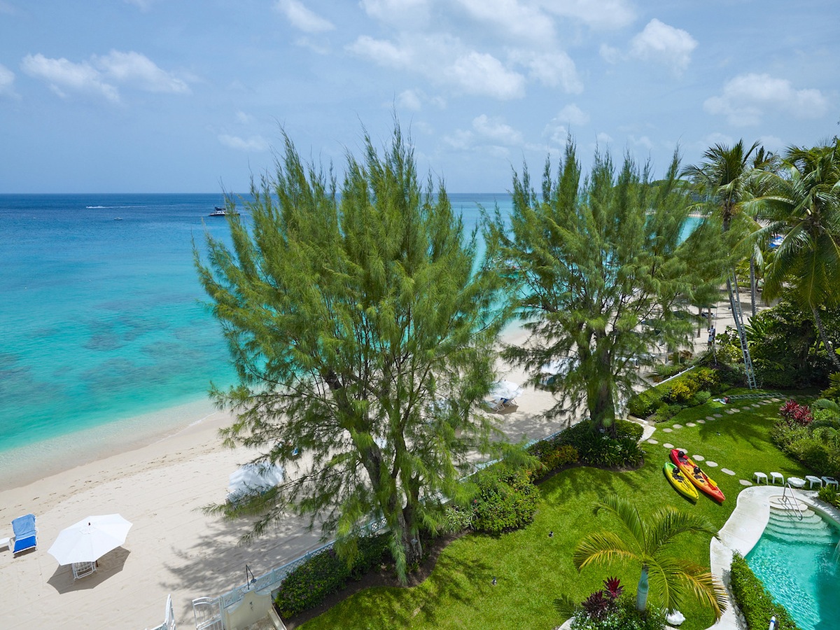 Old Trees 301 Penthouse