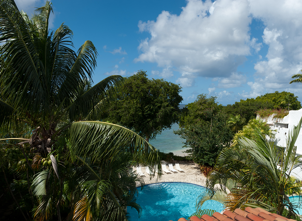 Merlin Bay - Gingerbread