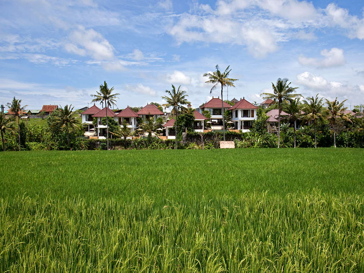 Canggu Terrace – Villa Penari