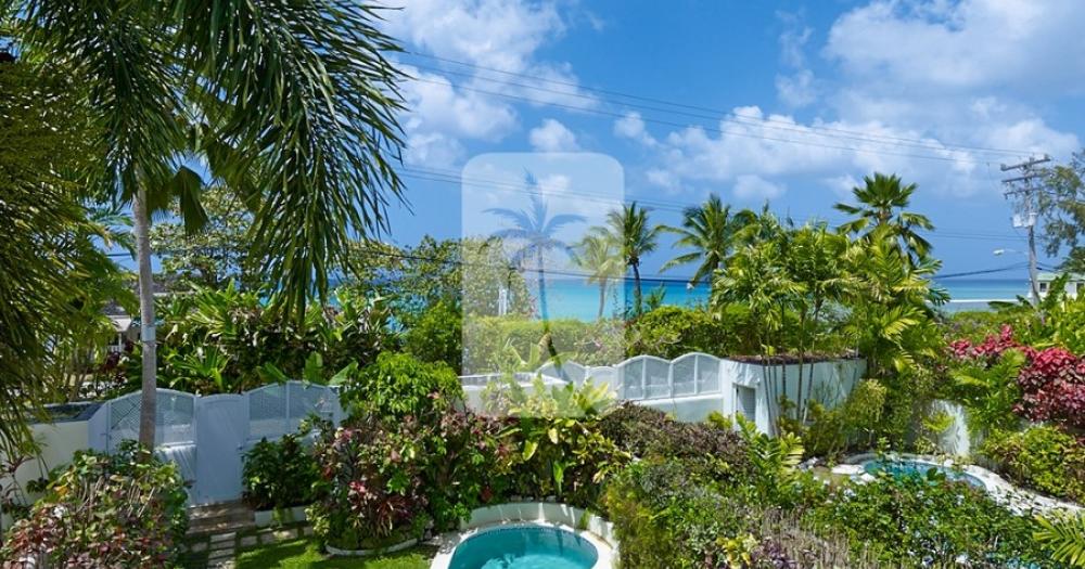 Mullins Bay 6, Jasmine