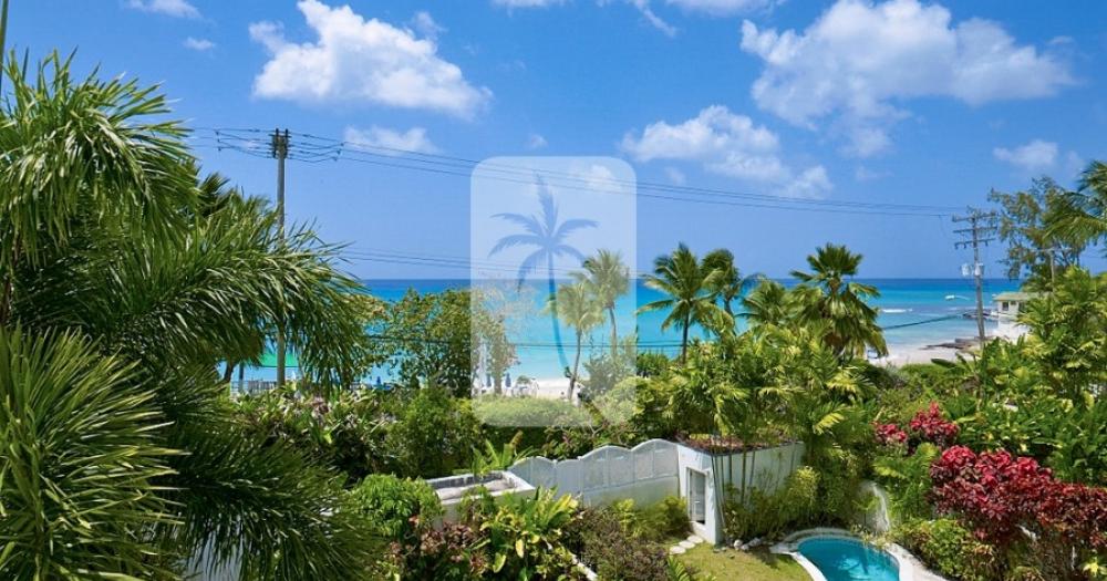 Mullins Bay 6, Jasmine