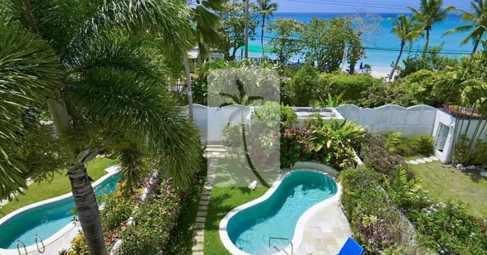 Mullins Bay 6, Jasmine