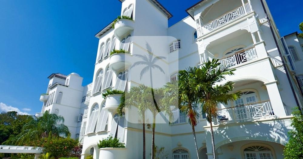 Old Trees 103, Bella Vista