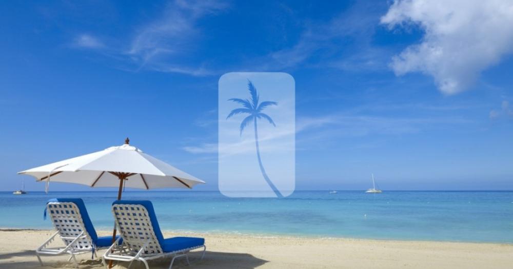 Old Trees 103, Bella Vista