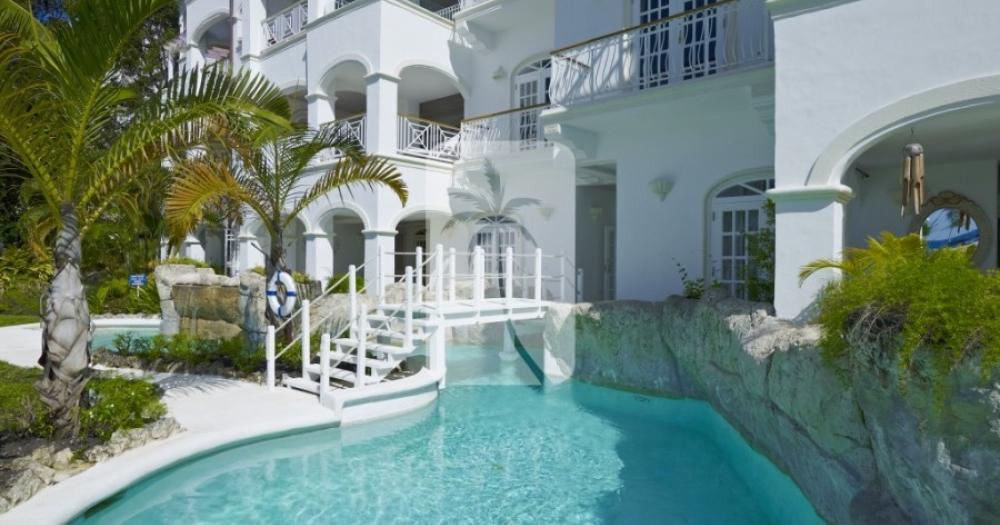 Old Trees 103, Bella Vista