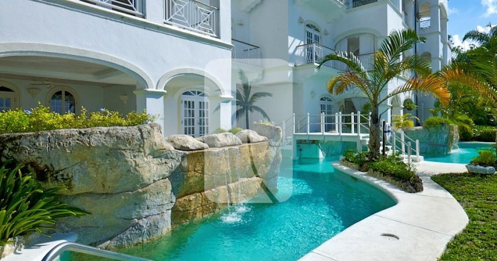 Old Trees 103, Bella Vista