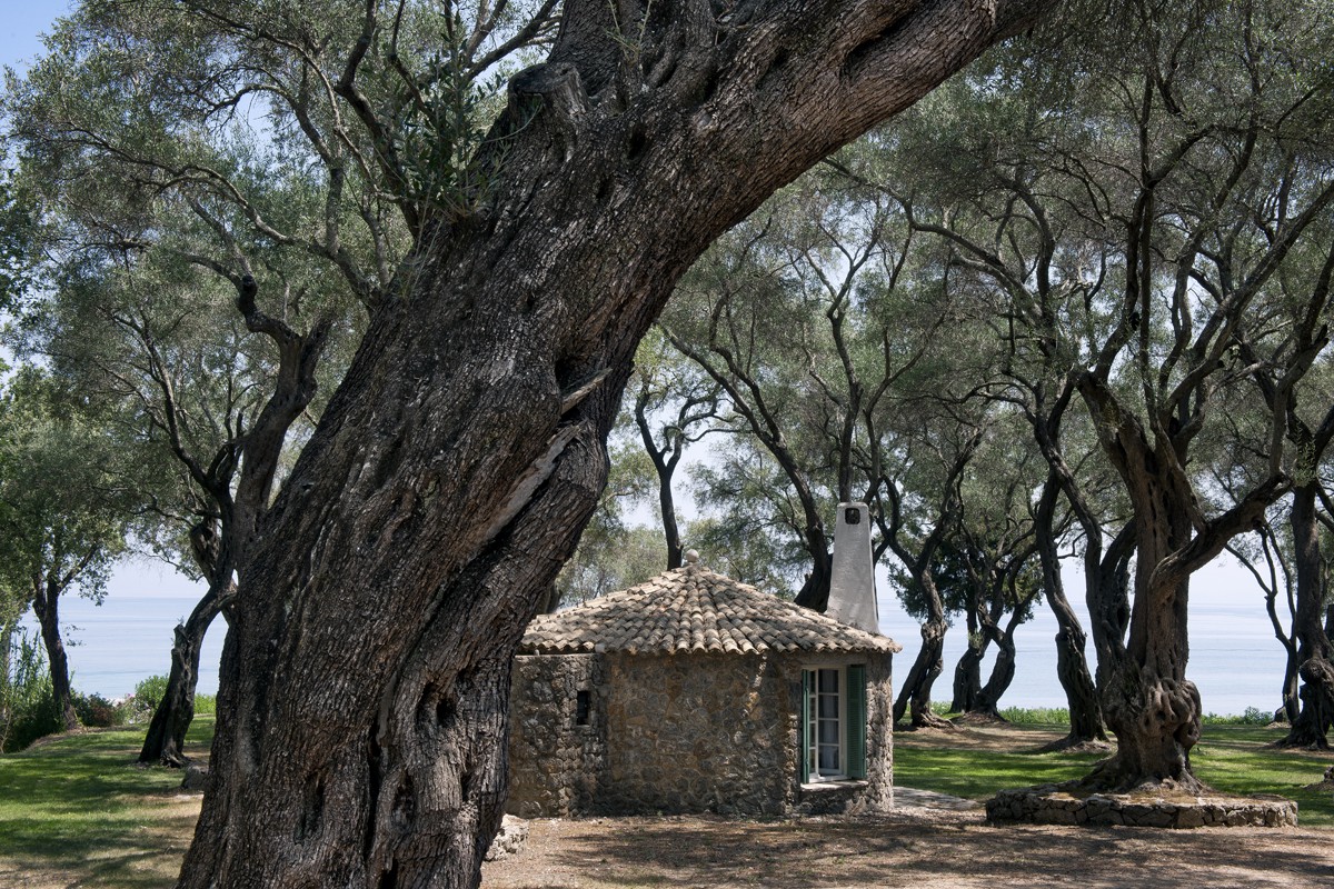 Aphrodite Corfu Villas