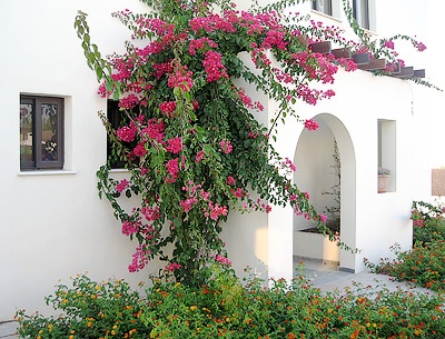 Aura Villas - 2 Bedrooms