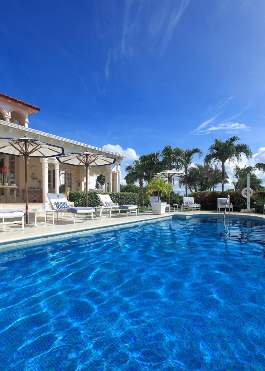 The Monkey Puzzle Villa