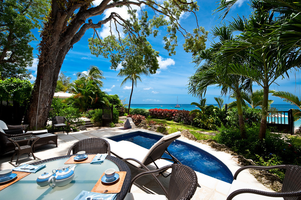 Coral Cove 2 - The Mahogany Tree