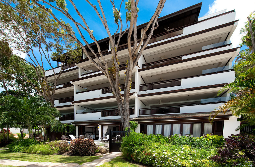 Coral Cove 2 - The Mahogany Tree