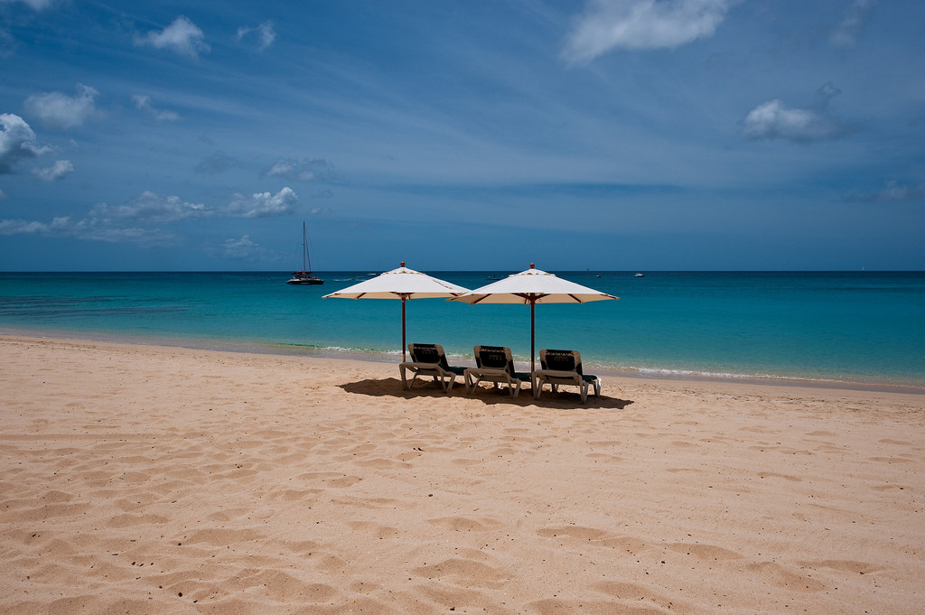 Coral Cove 2 - The Mahogany Tree