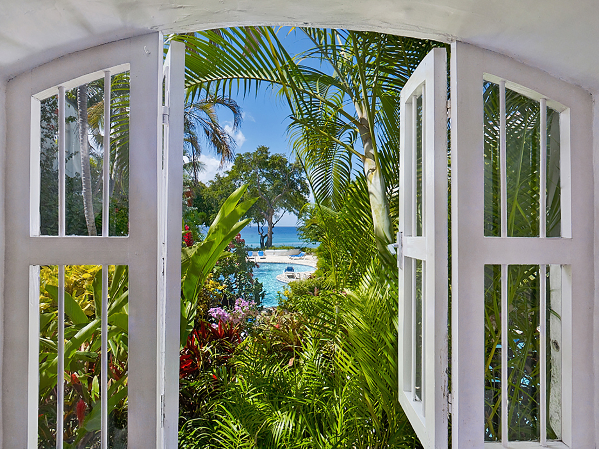 Merlin Bay 6, Firefly