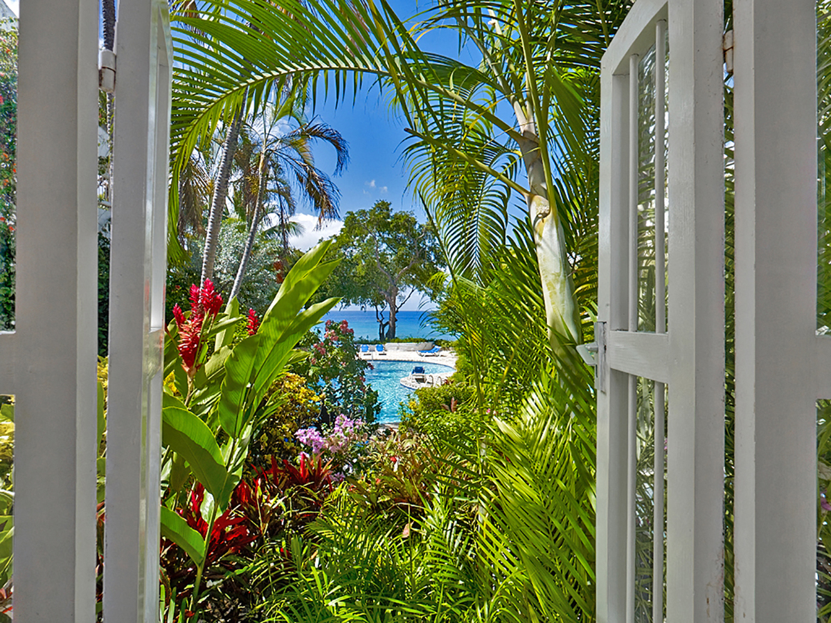 Merlin Bay 6, Firefly