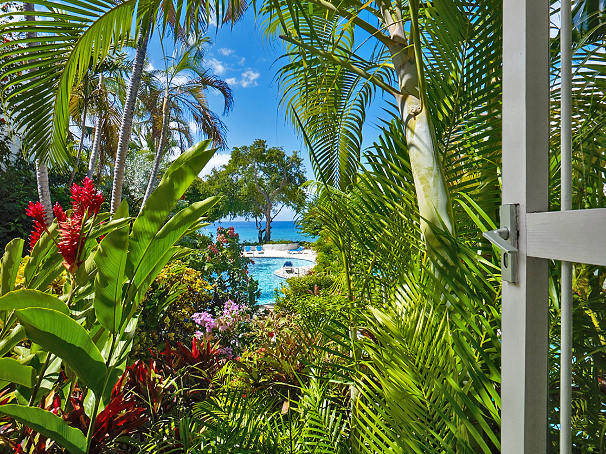 Merlin Bay 6, Firefly