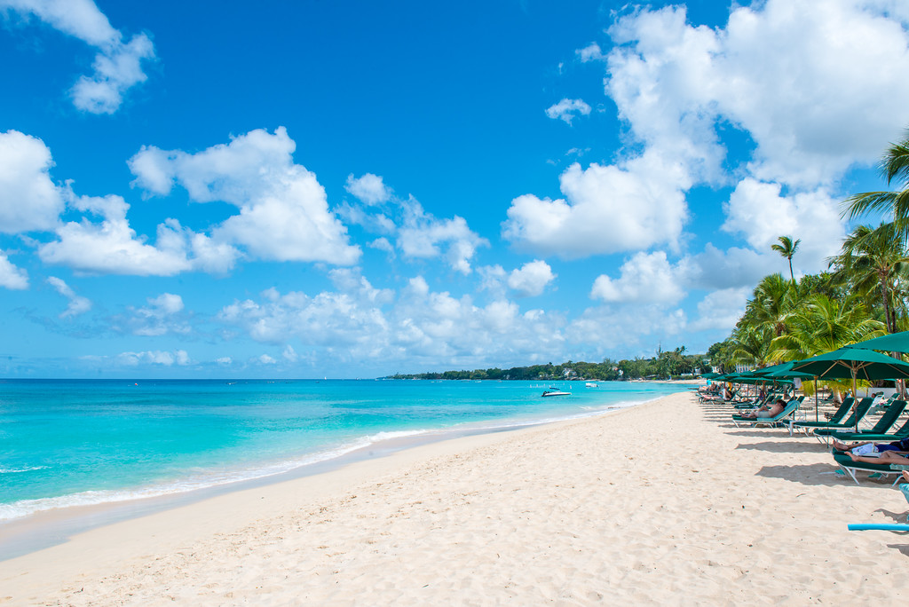 Glitter Bay Estate 305