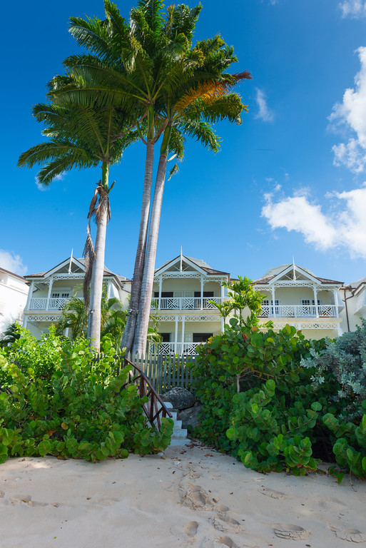 Mahogany Bay - Chanel No.5