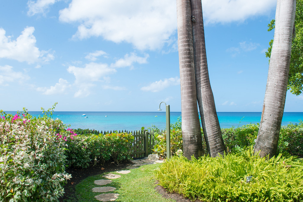 Mahogany Bay - Chanel No.5