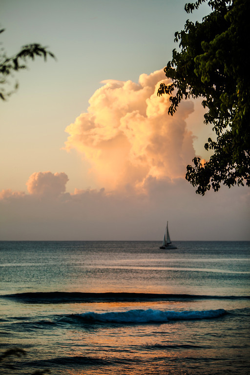 Merlin Bay - Hibiscus
