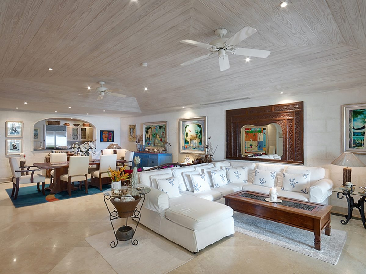 Old Trees 002, Azzurro