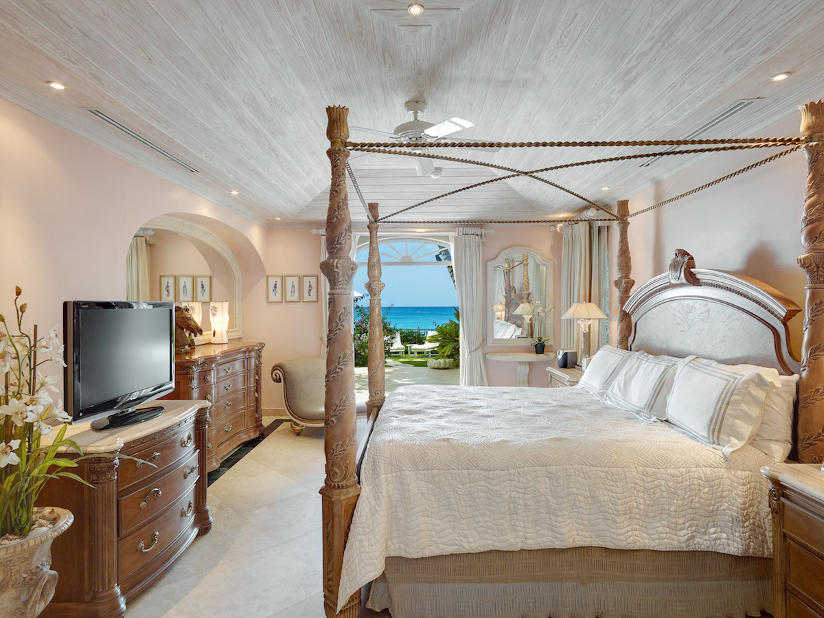 Old Trees 004, Caprice