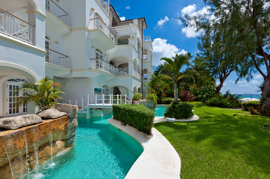 Old Trees 7 - Bella Vista