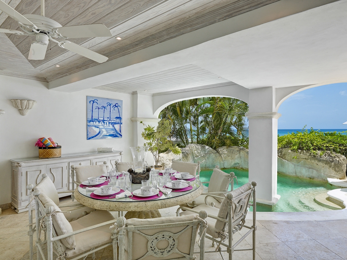 Old Trees 004, Caprice