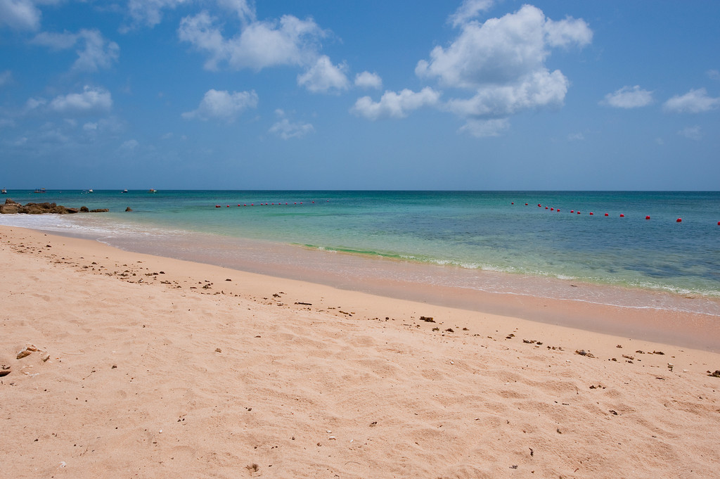 Reeds House 5 - Surf's Up