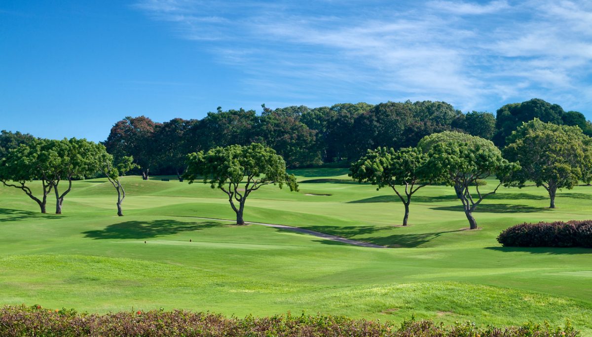 Sandy Lane - Hamble House