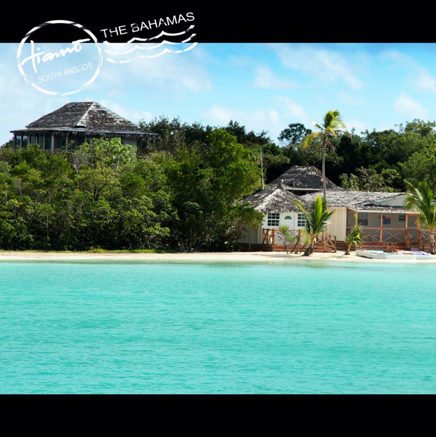 Tiamo Bird's Nest Villa