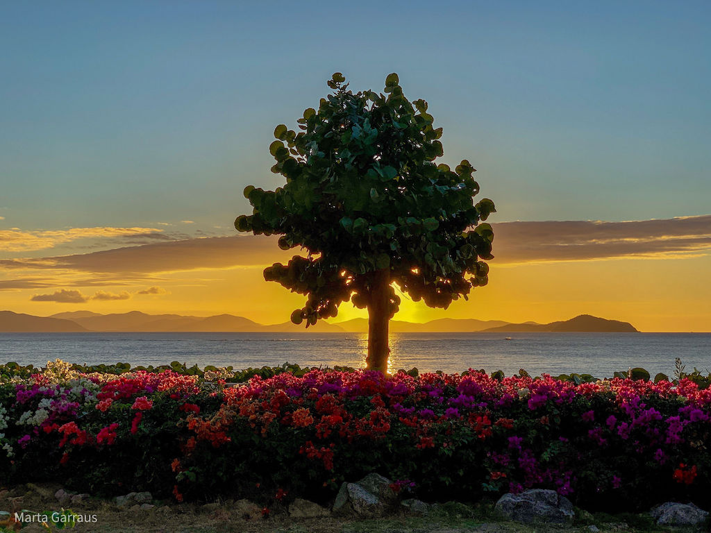A Villa on the Beach
