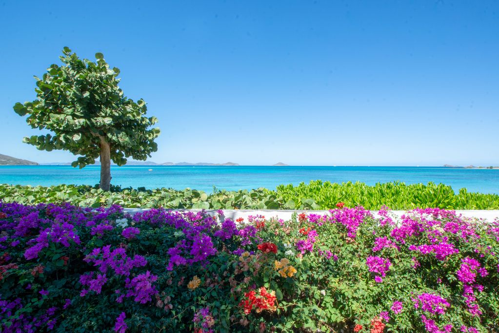 A Villa on the Beach