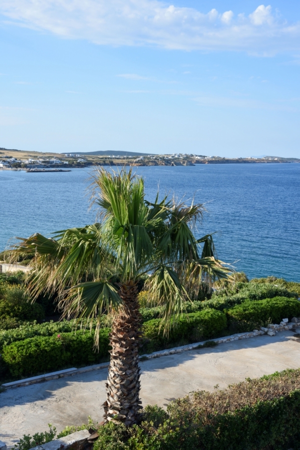 Agia Thalassa - Paros