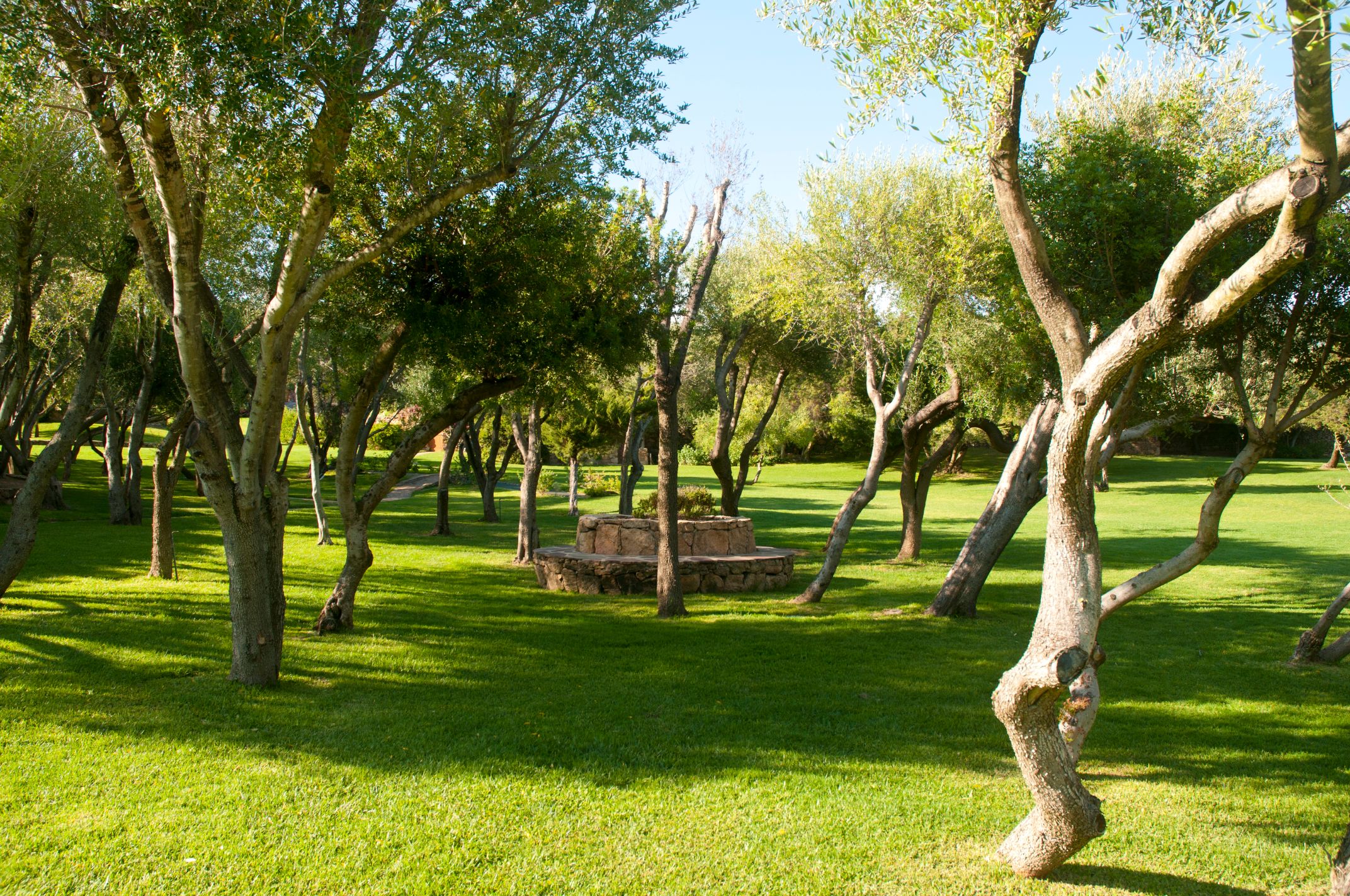 Villa Porto Rotondo Lux