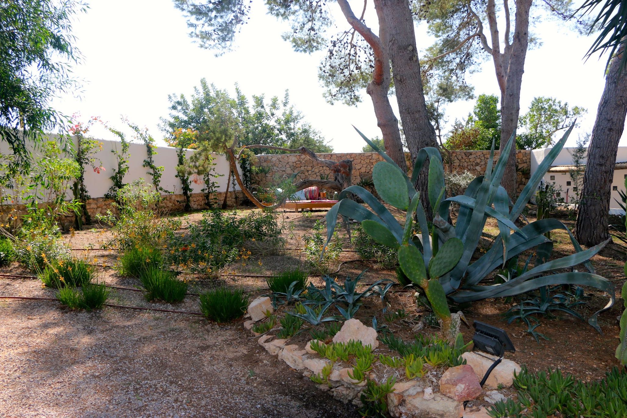 San Agustin Exclusive