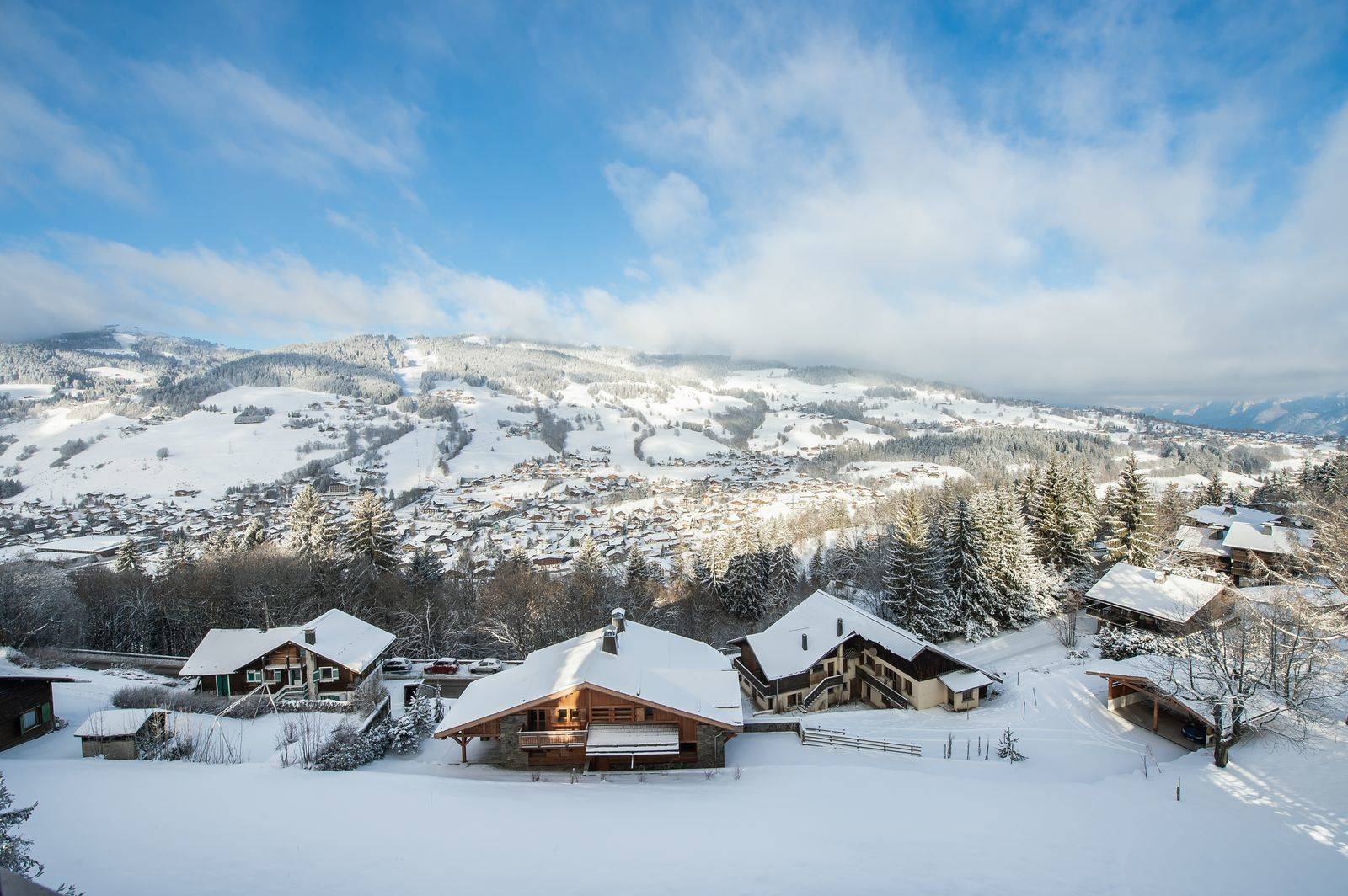 APPARTAMENTO NEVE ARBOIS