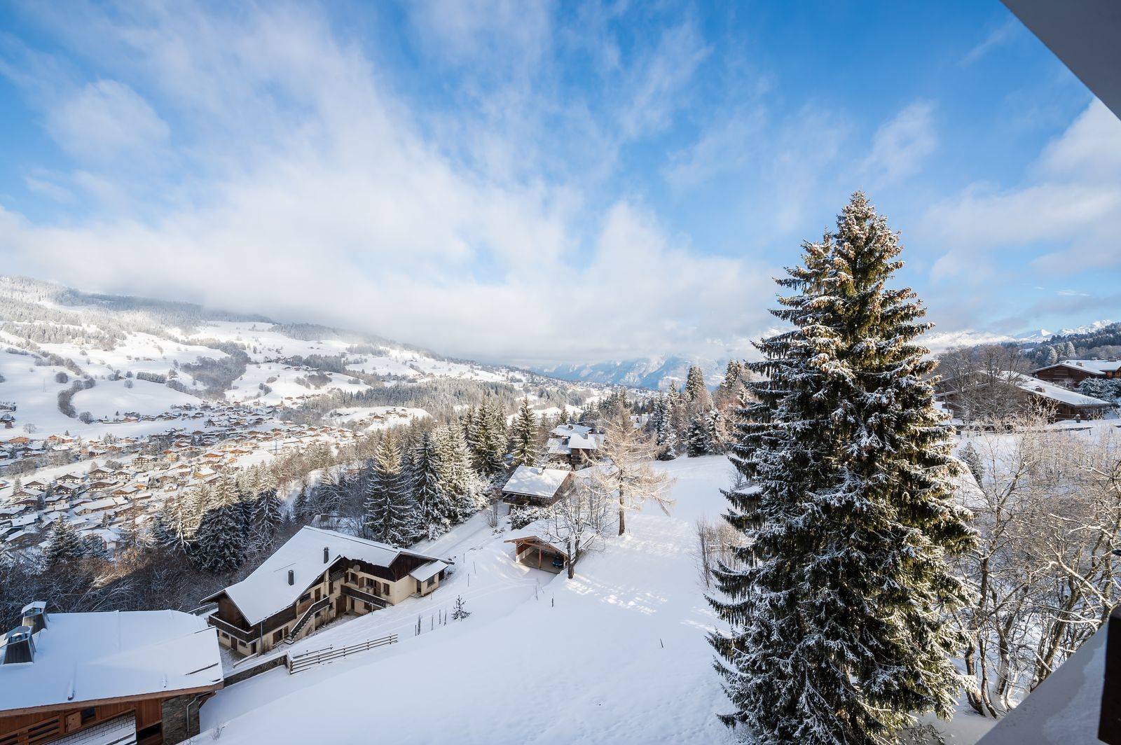 APPARTAMENTO NEVE ARBOIS