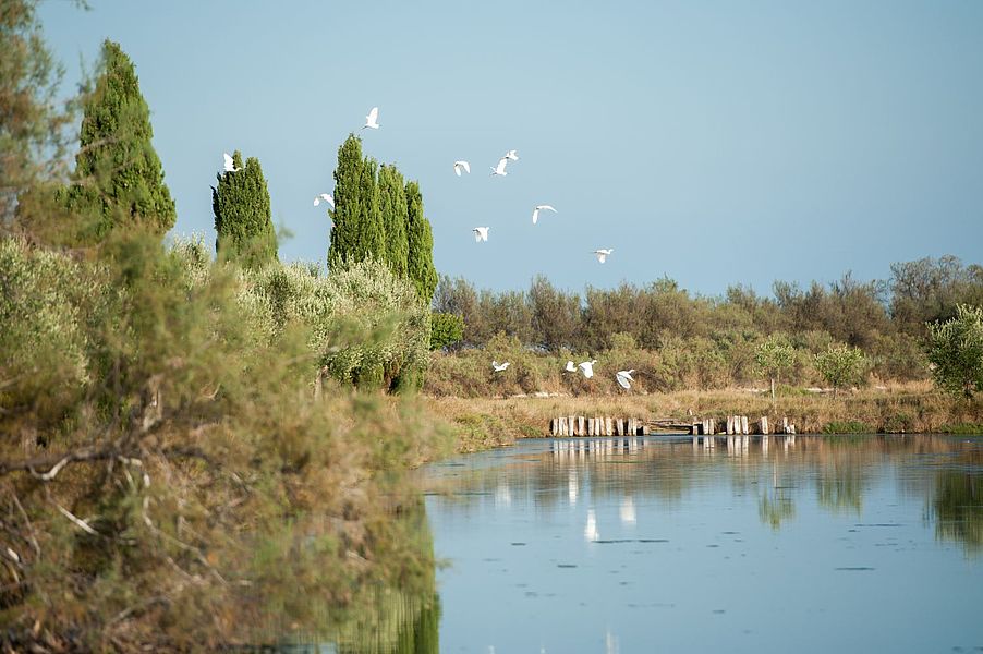 Isola Santa Cristina
