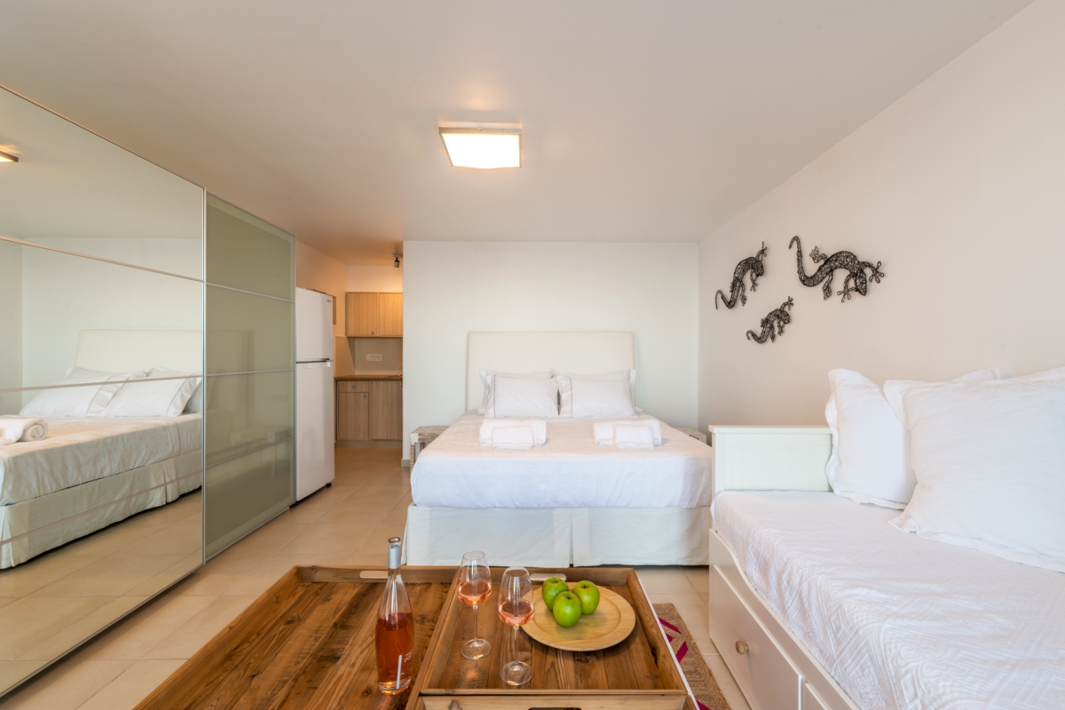 Elea Estate Luxury Mykonos