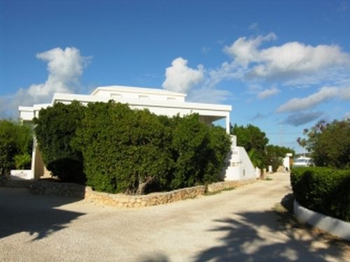 Coral Nest and Coral Sea