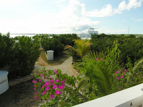 East View and West View