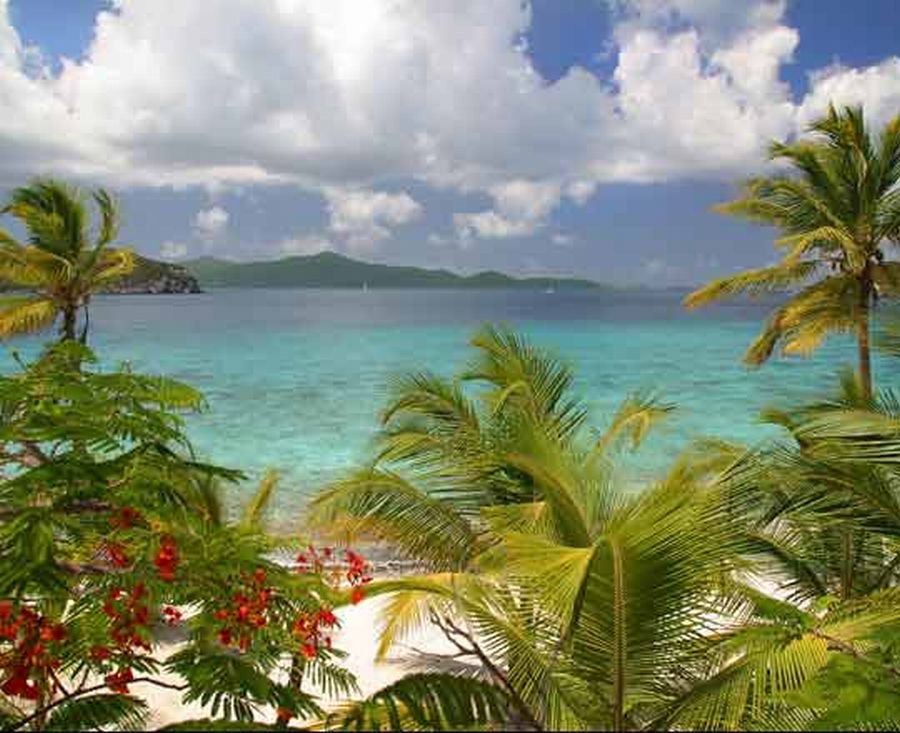 Little Thatch Island