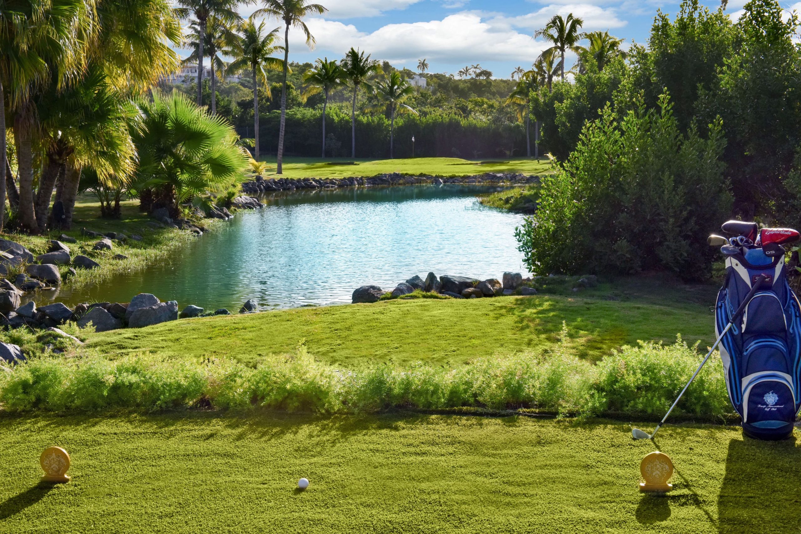 Villa Le Chateau des Palmiers